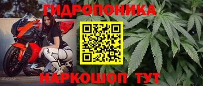 ECSTASY Среднеуральск