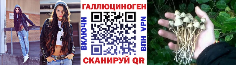 Галлюциногенные грибы Psilocybine cubensis  купить   Симферополь 